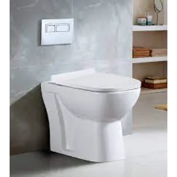 Floor Mounted Toilet